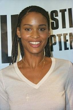 Joy Bryant | Antwone Fisher press conference | 27th Toronto International Film Festival