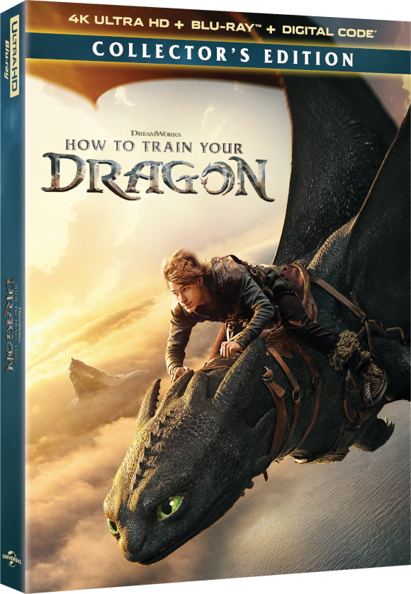How to Train Your Dragon coverart